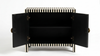 Handcrafted Black & White Bone Inlay 2 Door Storage Cabinet