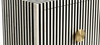Handcrafted Black & White Bone Inlay 2 Door Storage Cabinet